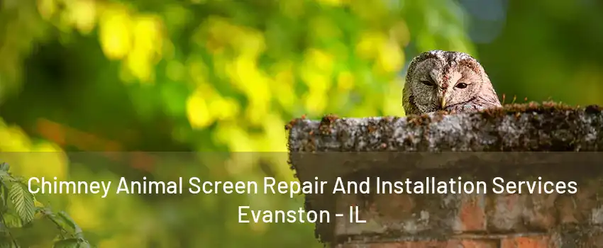 Chimney Animal Screen Repair And Installation Services Evanston - IL