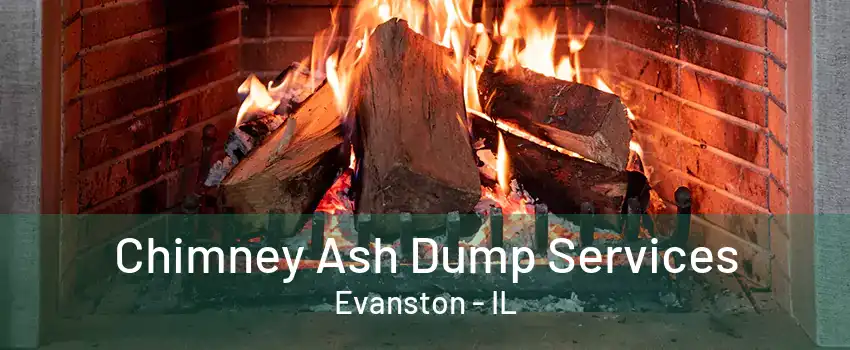 Chimney Ash Dump Services Evanston - IL