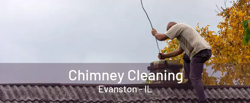 Chimney Cleaning Evanston - IL