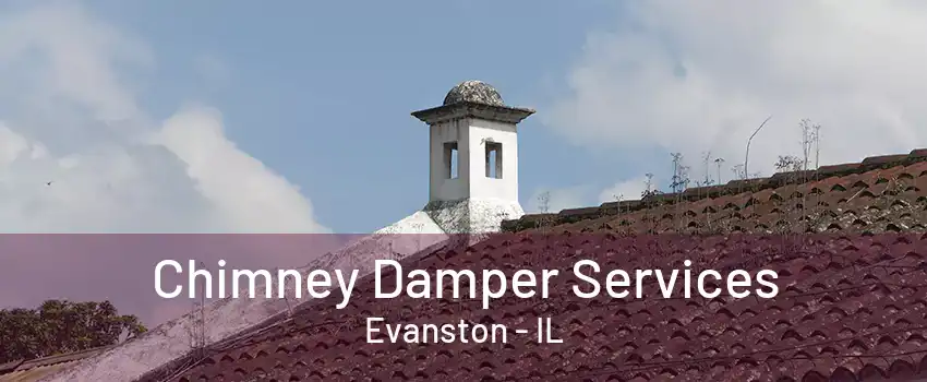 Chimney Damper Services Evanston - IL