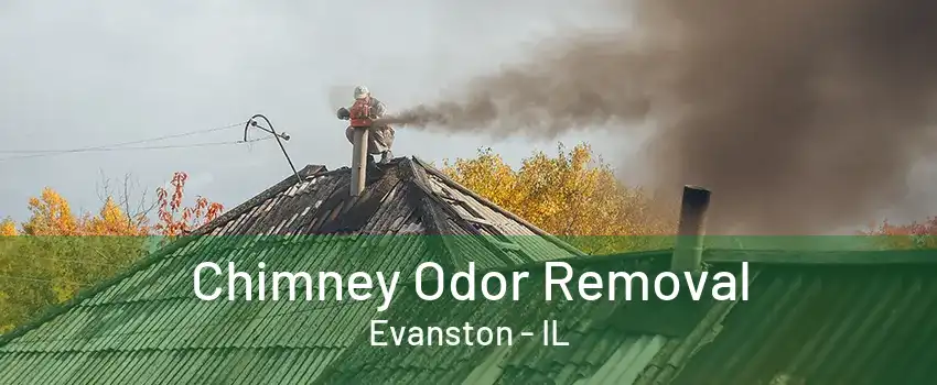 Chimney Odor Removal Evanston - IL