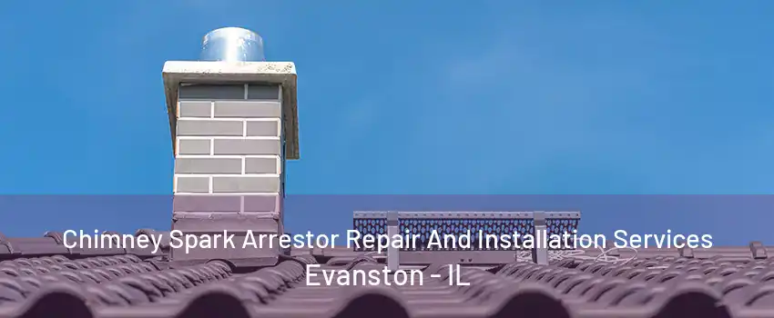 Chimney Spark Arrestor Repair And Installation Services Evanston - IL