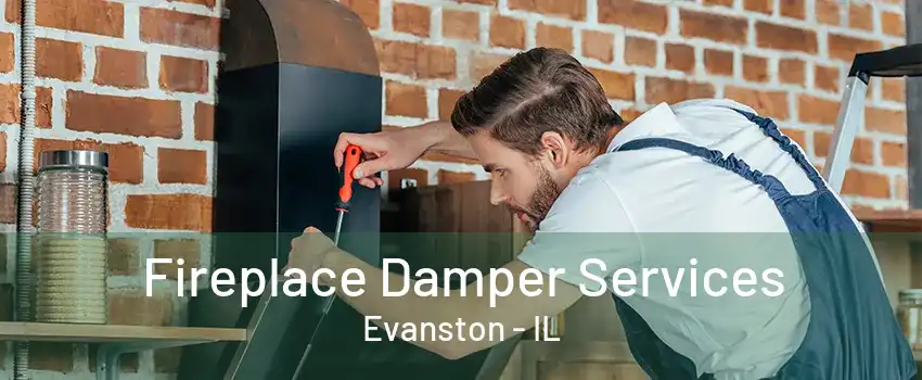 Fireplace Damper Services Evanston - IL