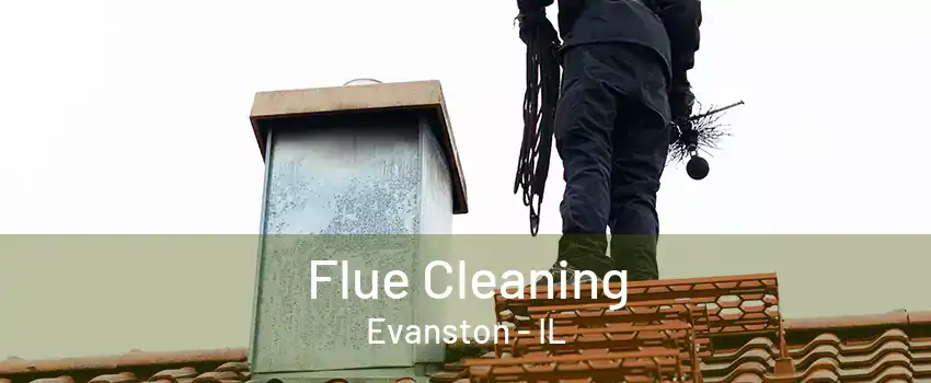Flue Cleaning Evanston - IL