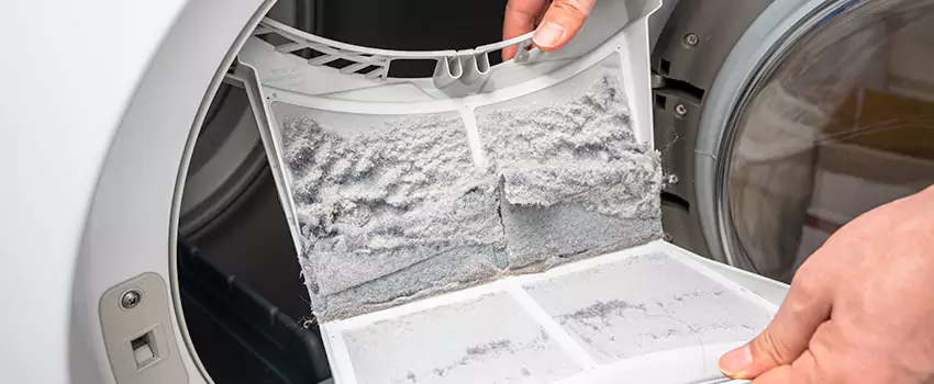 Best Dryer Lint Removal Company in Evanston, Illinois