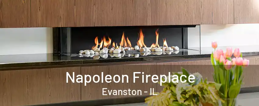 Napoleon Fireplace Evanston - IL
