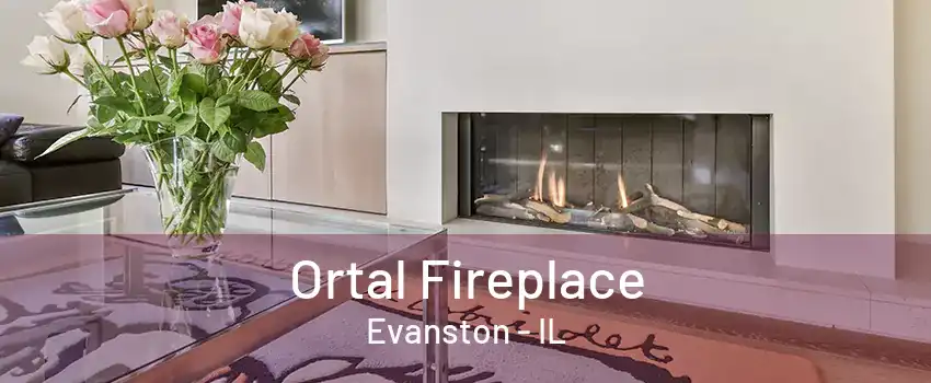 Ortal Fireplace Evanston - IL